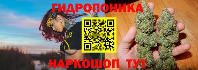 гидра Комсомольск-на-Амуре