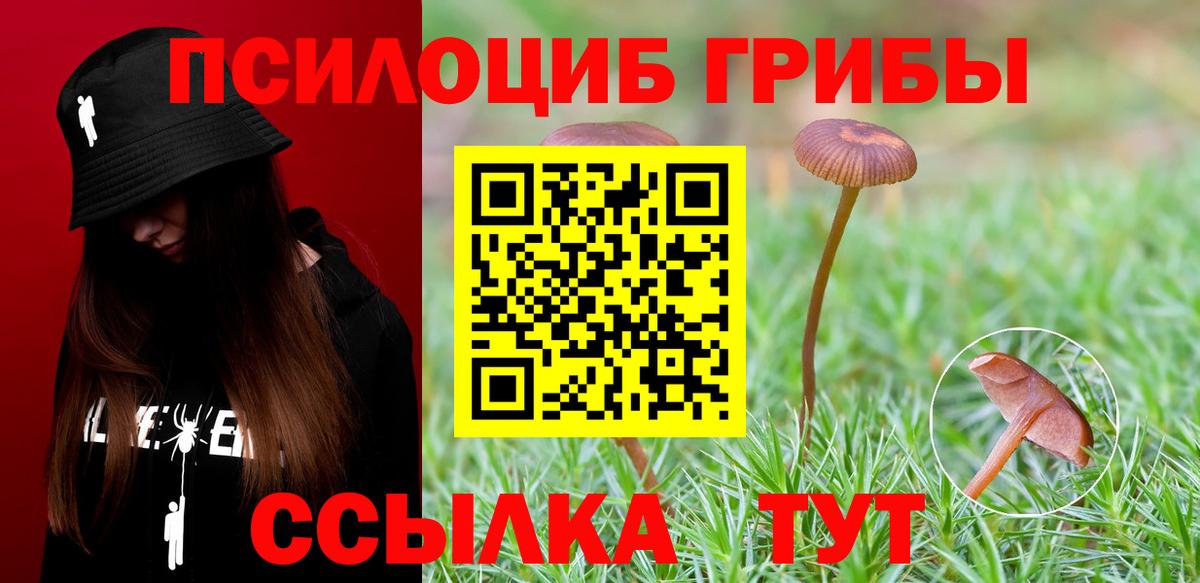 Галлюциногенные грибы Magic Shrooms  Вход с VPN  Кисловодск  Галлюциногенные грибы Psilocybine cubensis 