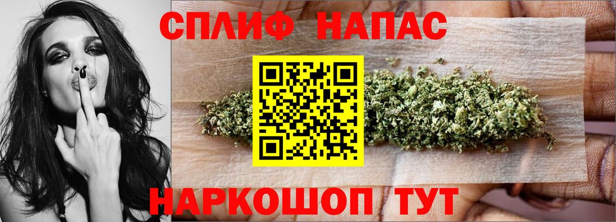Каннабис сатива Кисловодск